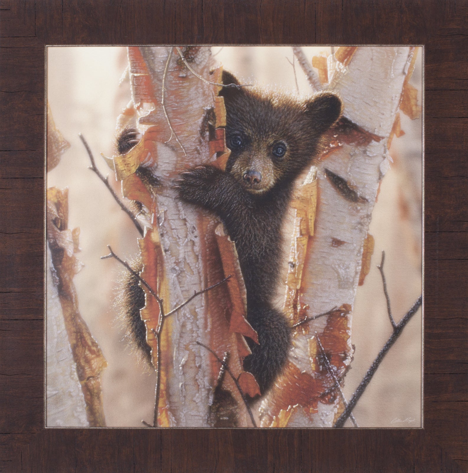 Mama Bear - Black Bear Painting, Hand Signed Bear Cub Art Print by Collin  Bogle – Collin Bogle Nature Art