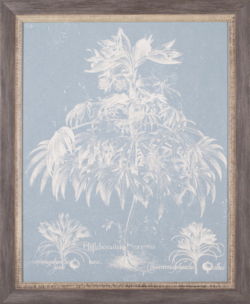 Art Effects Delicate Bester Botanical I Wall Art by Vision Studio