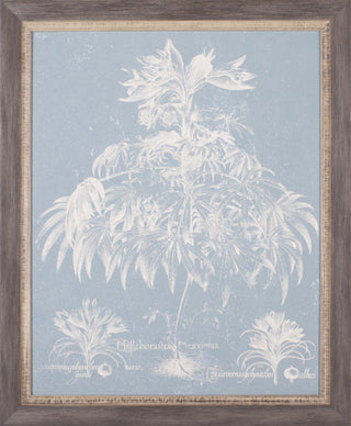 Art Effects Delicate Bester Botanical I Wall Art by Vision Studio