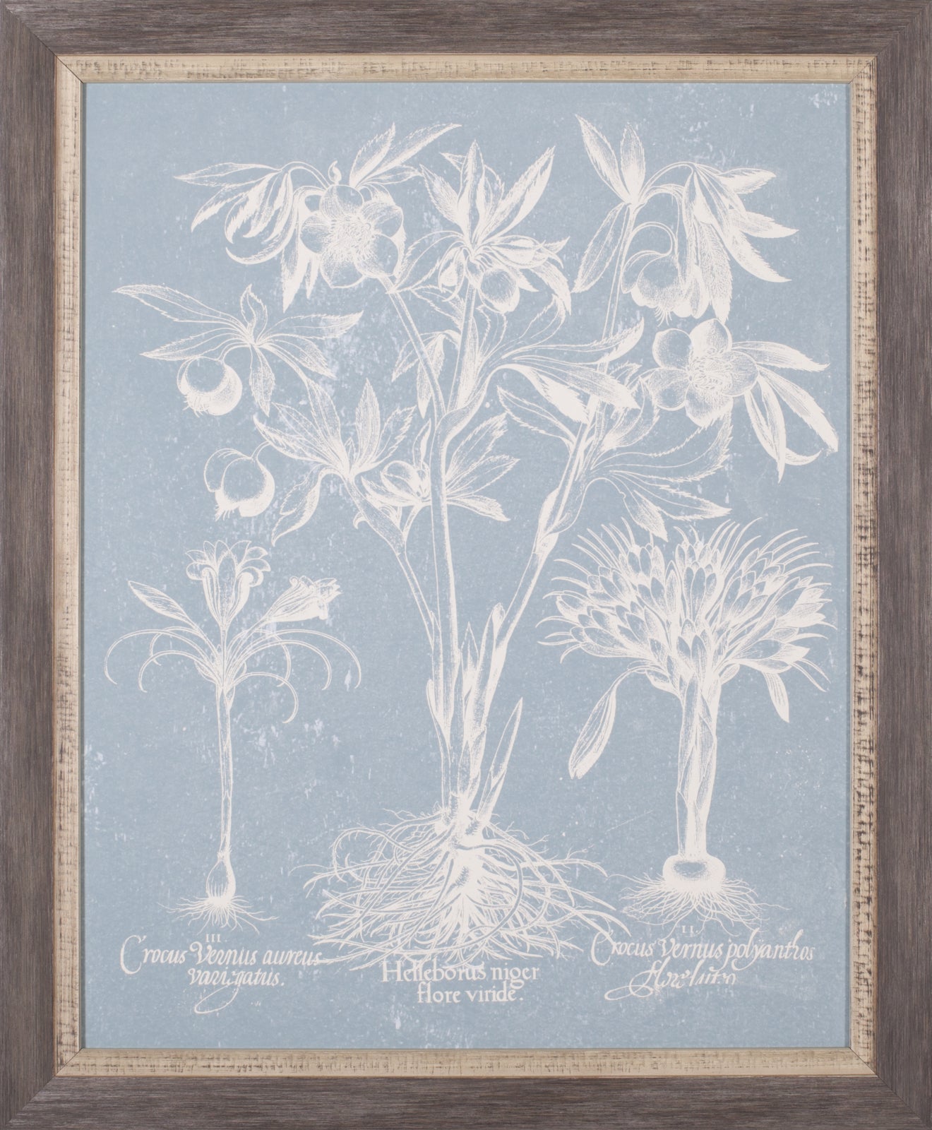 Art Effects Delicate Bester Botanical II Wall Art by Vision Studio