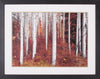 Art Effects Fall Birches Wall Art by Vladimir Kostka