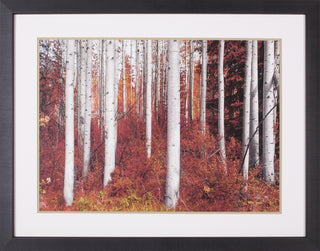 Art Effects Fall Birches Wall Art by Vladimir Kostka