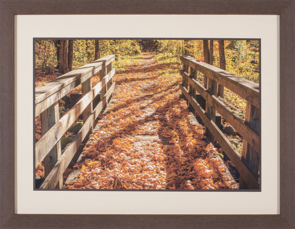 Art Effects Fall On The Footbridge Wall Art by Tim Oldford