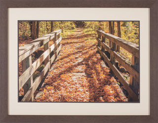 Art Effects Fall On The Footbridge Wall Art by Tim Oldford