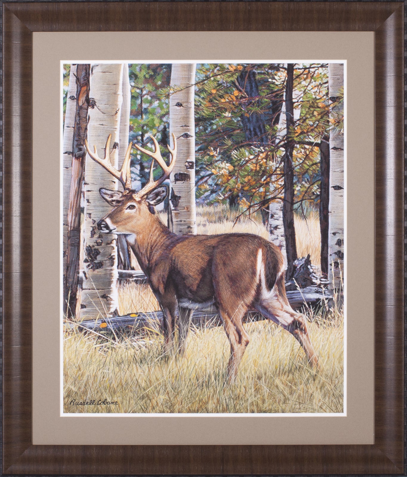Art Effects Fall Whitetail Wall Art by Russell Cobane