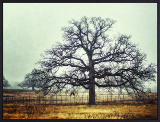 Art Effects Foggy Oak Wall Art by Kristi Goodkind