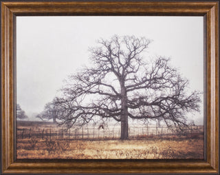 Art Effects Foggy Oak Wall Art by Kristi Goodkind