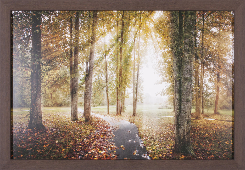 Art Effects Following The Light Wall Art by Celebrate Life Gallery