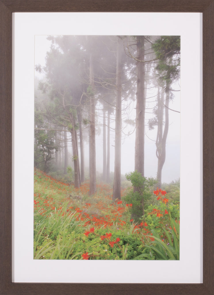 Art Effects Forest Of The Flowers Wall Art by Anne Schneidersmann