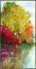 Art Effects Forest Reflection II Wall Art by Asia Jensen