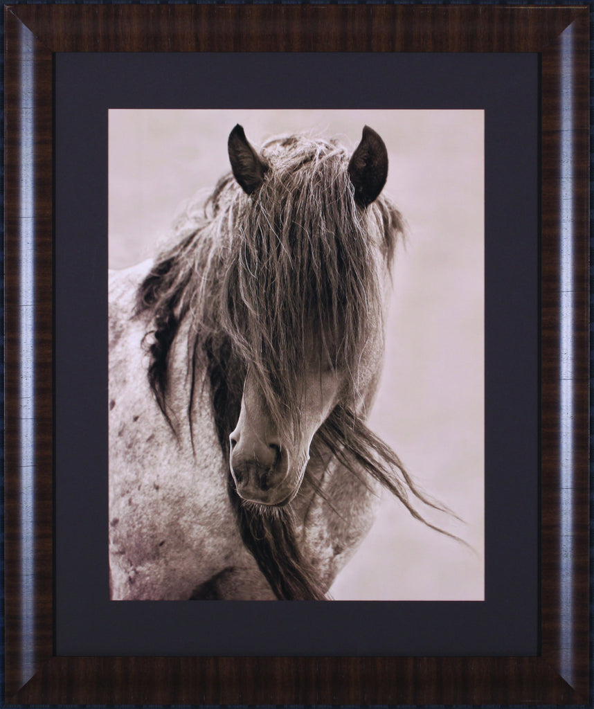 Art Effects Freedom Wall Art by Lisa Dearing