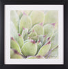 Art Effects Garden Succulents I Wall Art by Laura Marshall