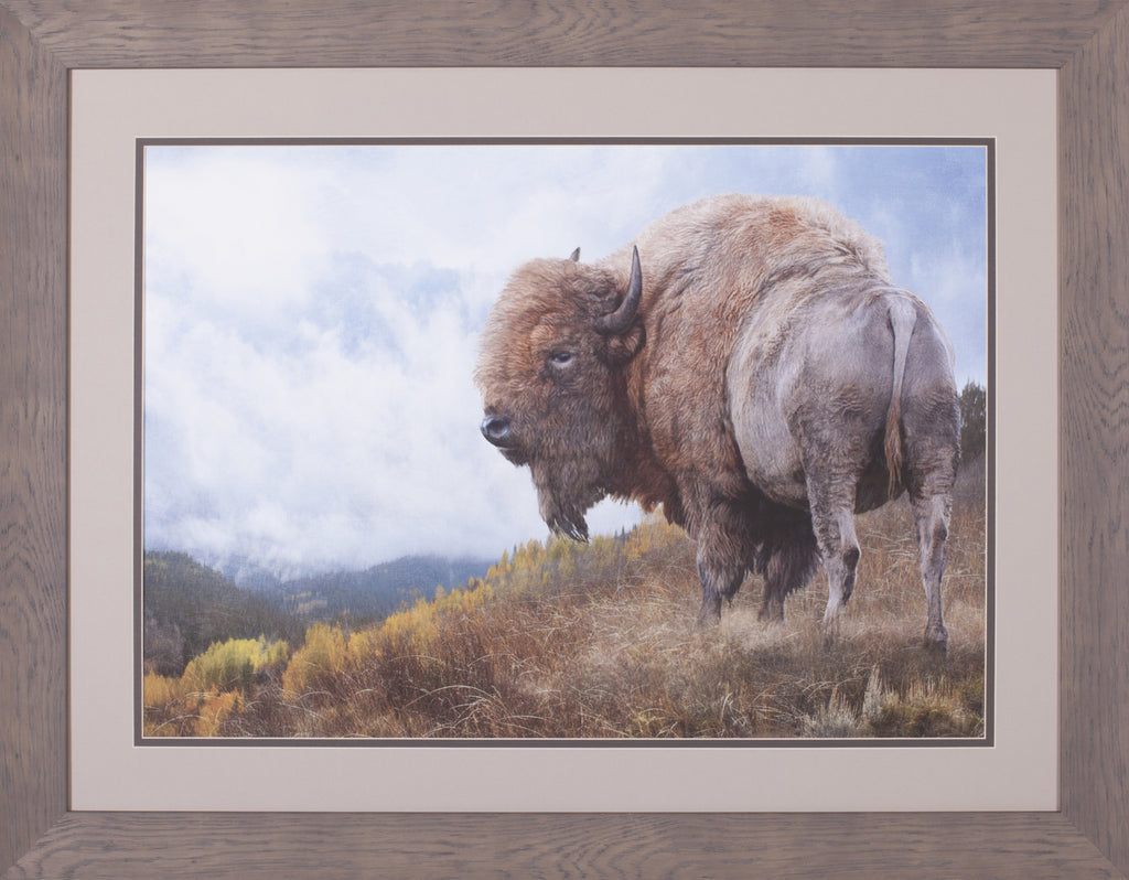 Art Effects Golden Bison Wall Art by Chris Vest