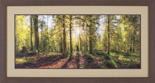 Art Effects Golden Forest Wall Art by Vladimir Kostka