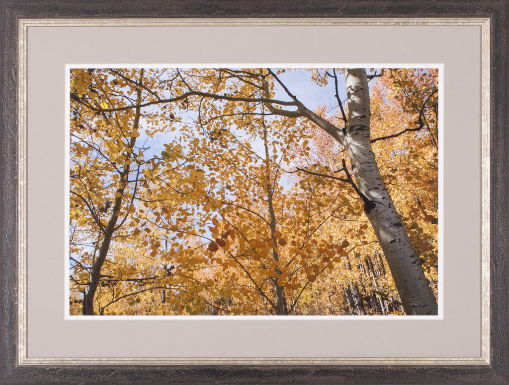 Art Effects Grateful Day Wall Art by Nancy Crowell