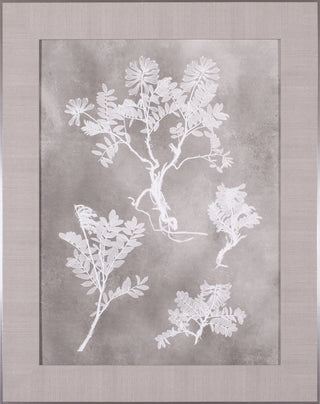 Art Effects Herbarium Study II Wall Art by Vision Studio
