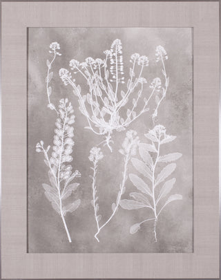 Art Effects Herbarium Study III Wall Art by Vision Studio