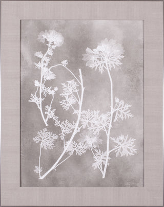 Art Effects Herbarium Study IV Wall Art by Vision Studio