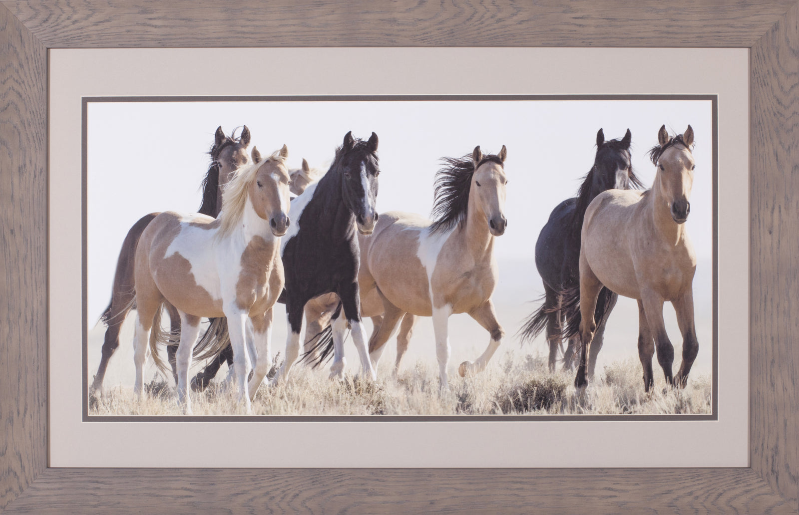 Art Effects Horses In The Wild Wall Art by Carol Walker