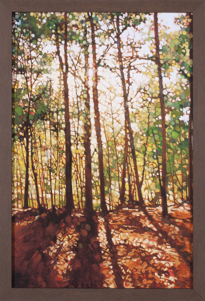 Art Effects Into The Light Wall Art by Kevin Conklin