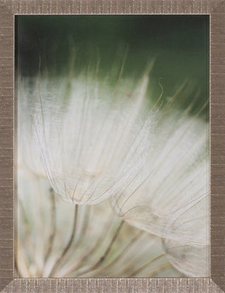 Art Effects Macro Dandelion I Wall Art by Renee W Stramel