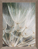 Art Effects Macro Dandelion II Wall Art by Renee W Stramel