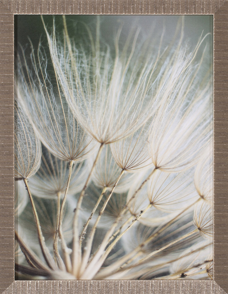 Art Effects Macro Dandelion II Wall Art by Renee W Stramel