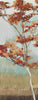 Art Effects Maple Tree I Wall Art by Allison Pearce