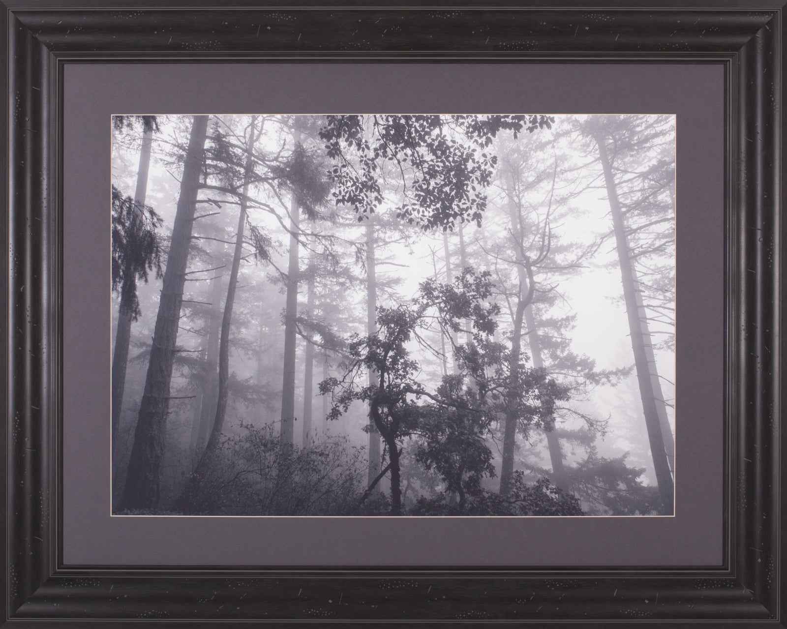 Art Effects Misty Forest Wall Art by Tim Oldford
