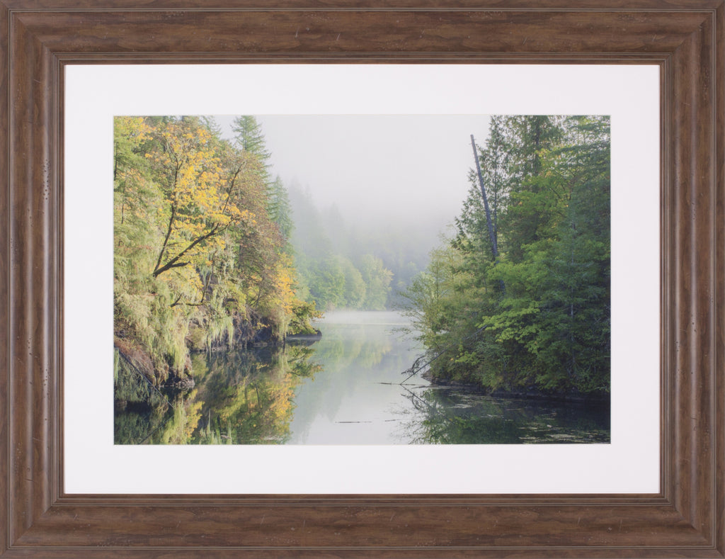 Art Effects Mood Morning Wall Art by Ross Lipson