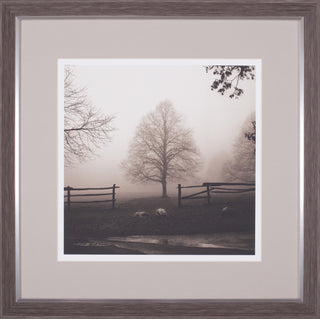Art Effects Morning Texture Wall Art by Harold Silverman
