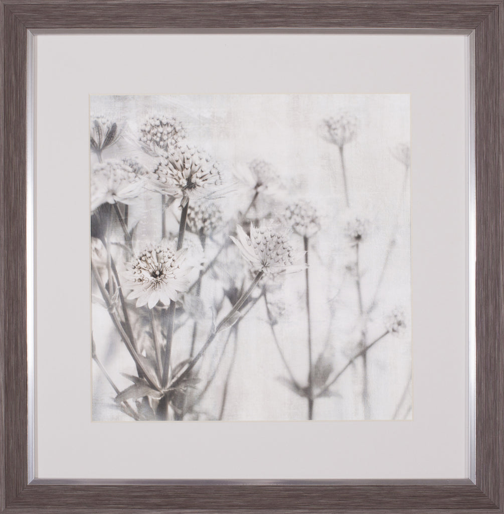 Art Effects Natural Ones I Wall Art by Irene Weisz