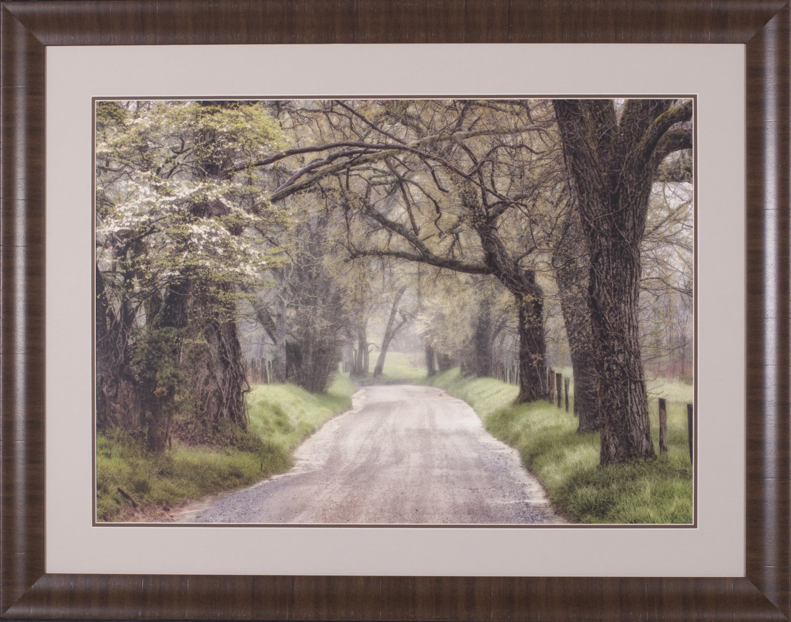 Art Effects Nature Trail Walks Wall Art by Andy Amos