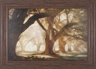 Art Effects Oak Alley Morning Light Wall Art by William Guion