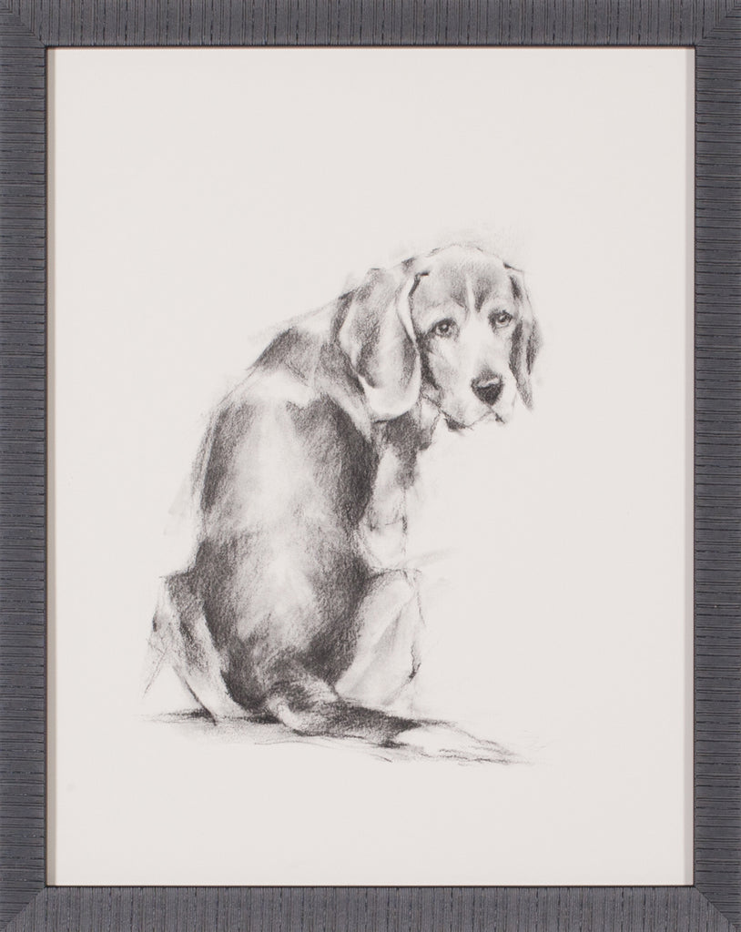 Art Effects Puppy Dog Eyes I Wall Art by Ethan Harper