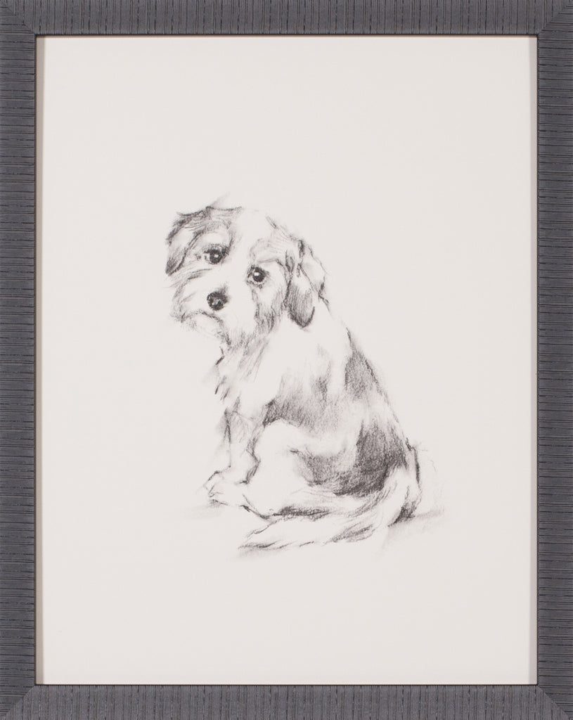 Art Effects Puppy Dog Eyes III Wall Art by Ethan Harper
