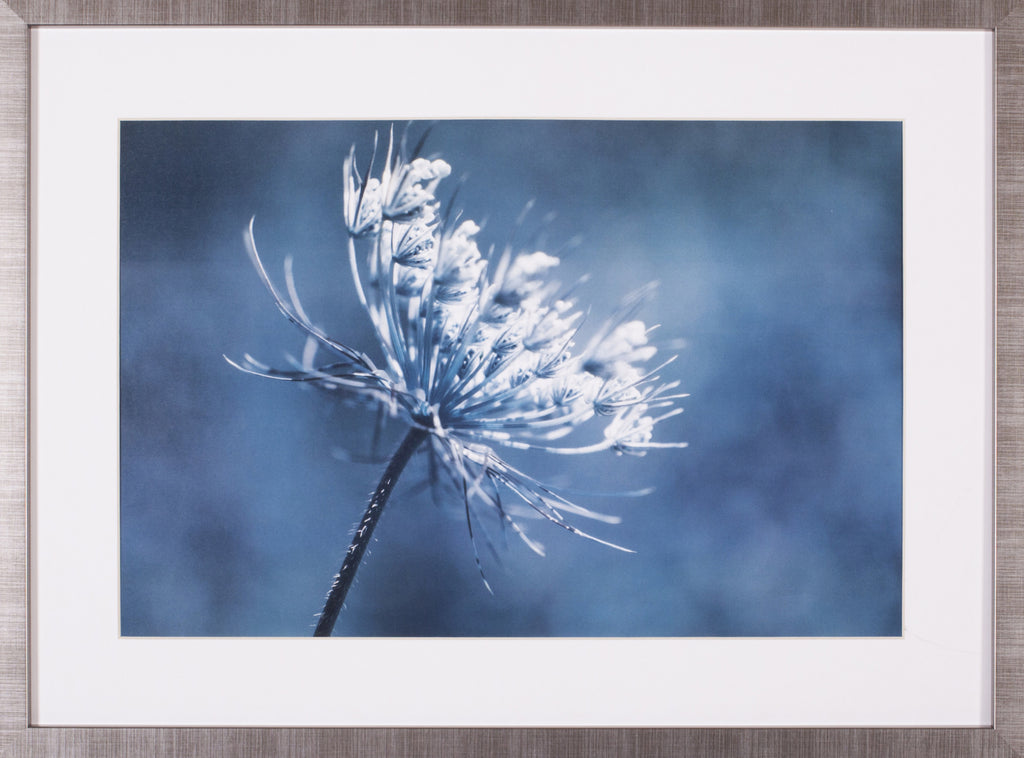 Art Effects Queen Anne I Wall Art by Judy Stalus