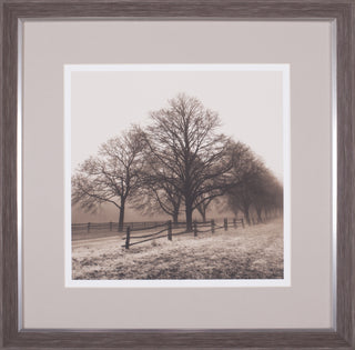 Art Effects Row Of Trees Wall Art by Harold Silverman