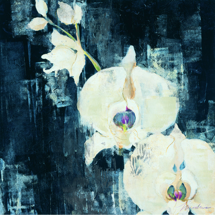 Art Effects Shadow Orchids I Wall Art by Liz Jardine