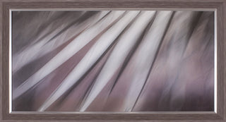 Art Effects Sharp Plant Wall Art by Norm Stelfox