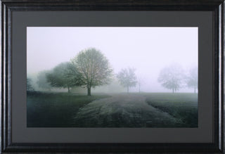 Art Effects Silent Traveler Wall Art by PT Turk