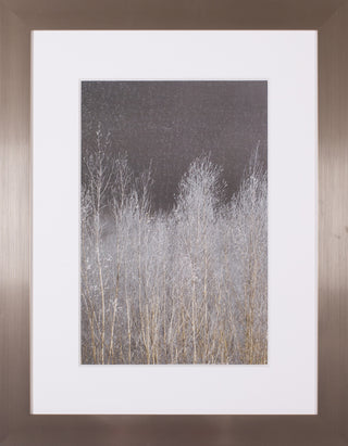 Art Effects Silver Forest I Wall Art by Assaf Frank