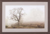 Art Effects Sonoma Oak Number 1 Wall Art by Alan Blaustein