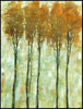 Art Effects Standing Tall In Autumn II Wall Art by Tim O'Toole