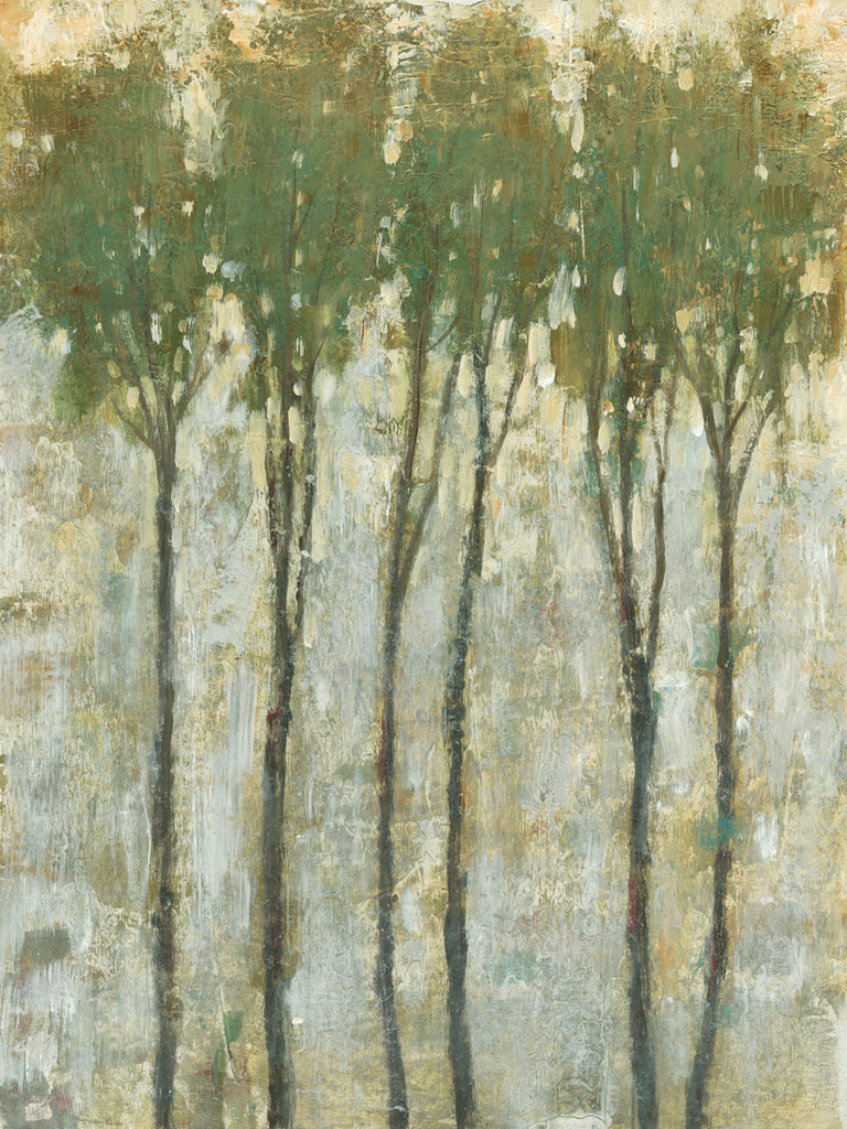 Art Effects Standing Tall In Spring I Wall Art by Tim O'Toole