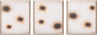 Art Effects Starlight I-Iii 3PC Set Only Wall Art by Liz Jardine