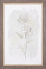 Art Effects Stone Flower Study II Wall Art by June Erica Vess