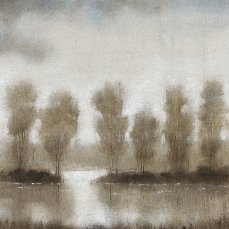 Art Effects Subtle Reflection I Wall Art by Tim O'Toole