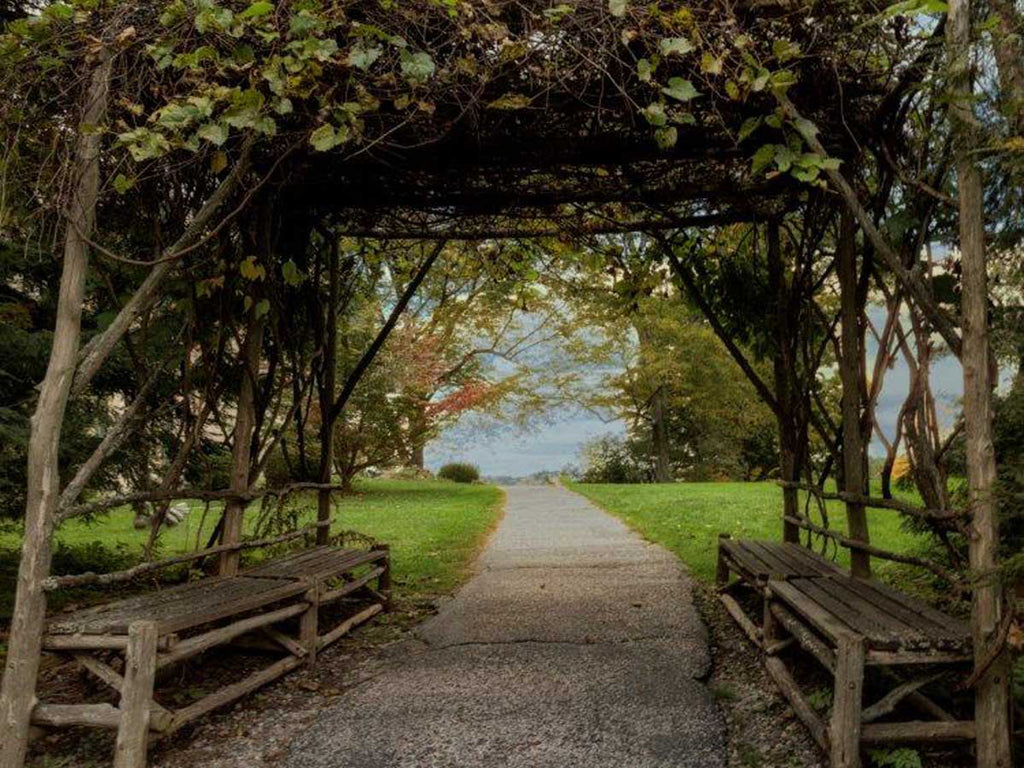 Art Effects Take A Break Wall Art by D Burt