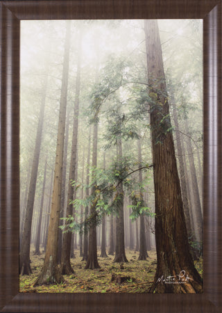 Art Effects The Friendly Giants Wall Art by Martin Podt